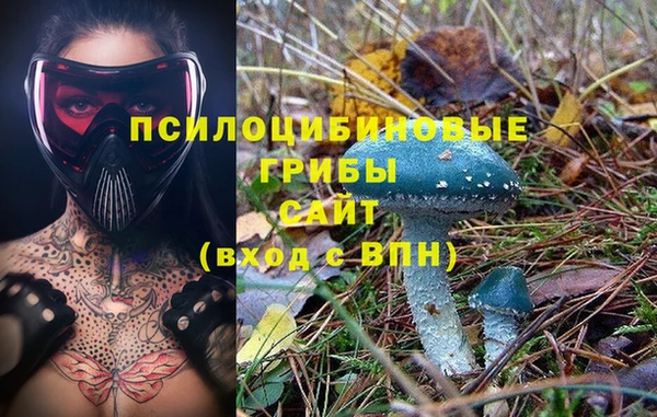 прущие крисы Балахна