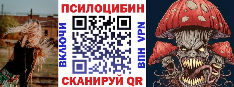 Галлюциногенные грибы Psilocybe Волчанск