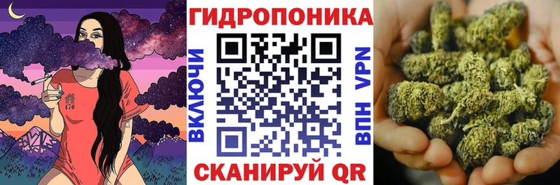 Каннабис SATIVA & INDICA  Волчанск 